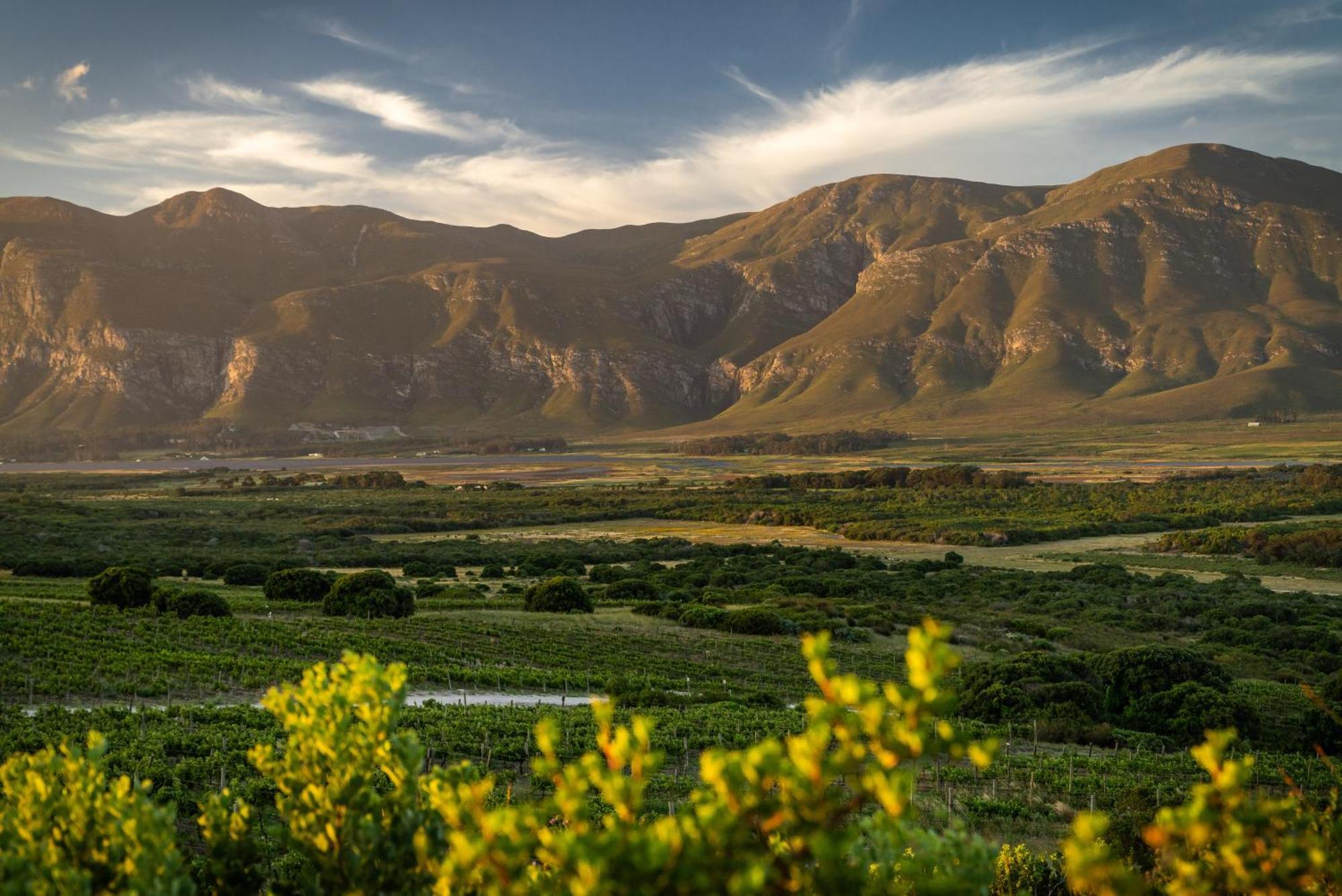 Springfontein River Lodge Stanford Εξωτερικό φωτογραφία