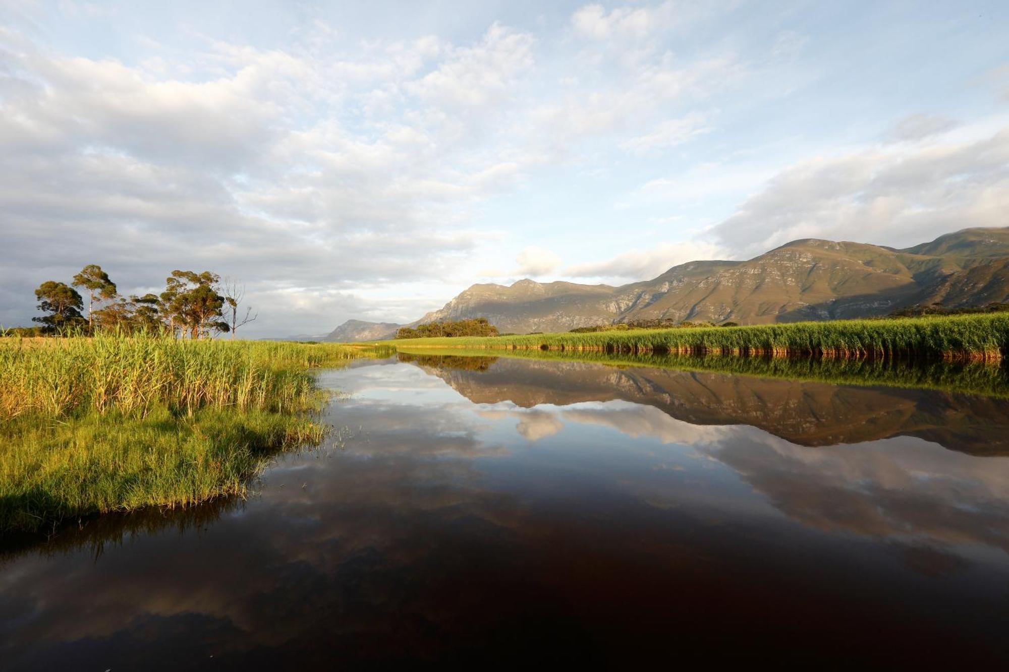 Springfontein River Lodge Stanford Εξωτερικό φωτογραφία