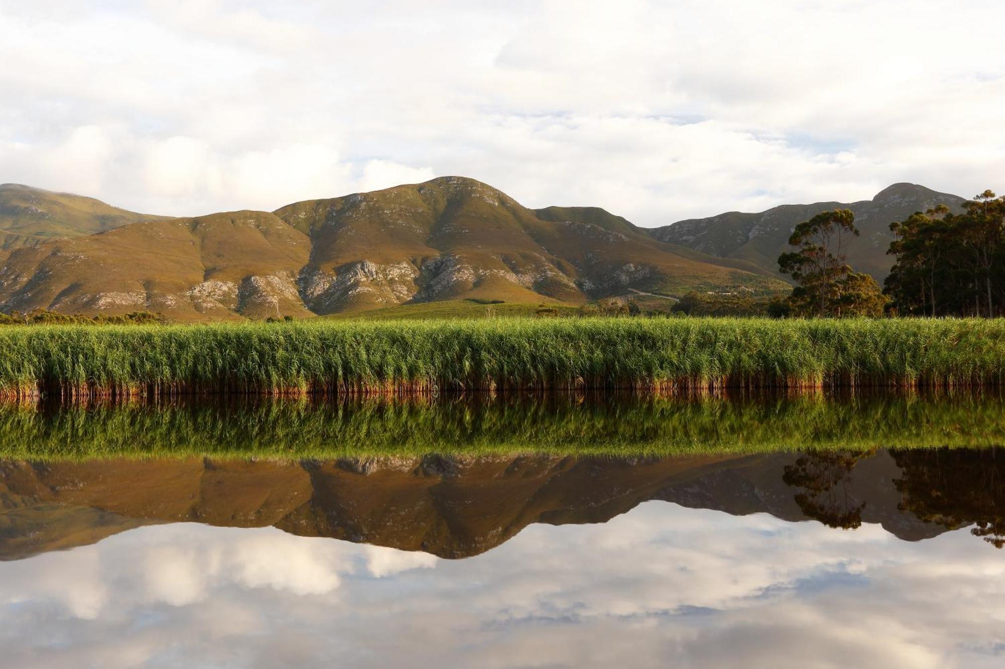 Springfontein River Lodge Stanford Εξωτερικό φωτογραφία