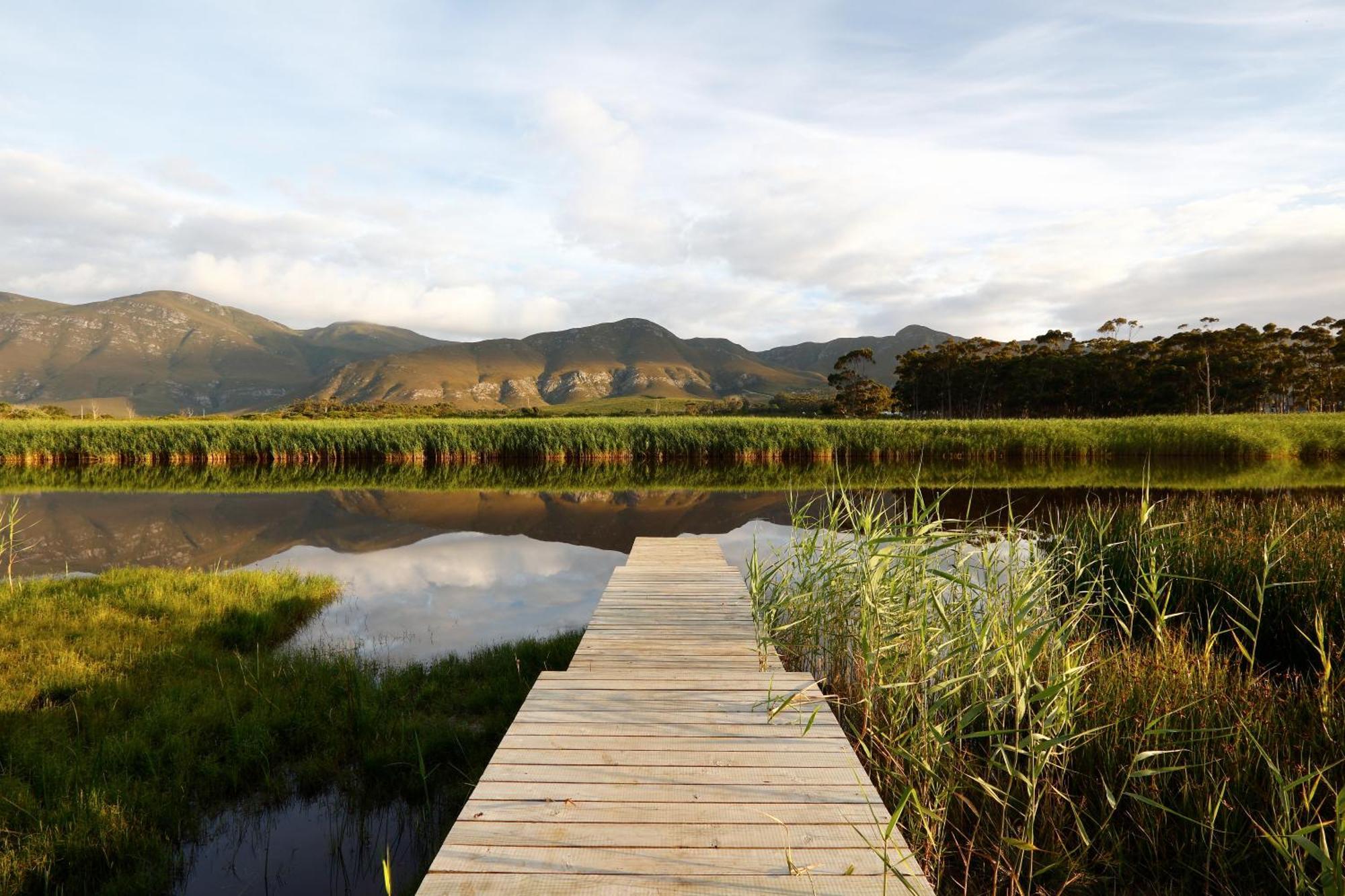 Springfontein River Lodge Stanford Εξωτερικό φωτογραφία